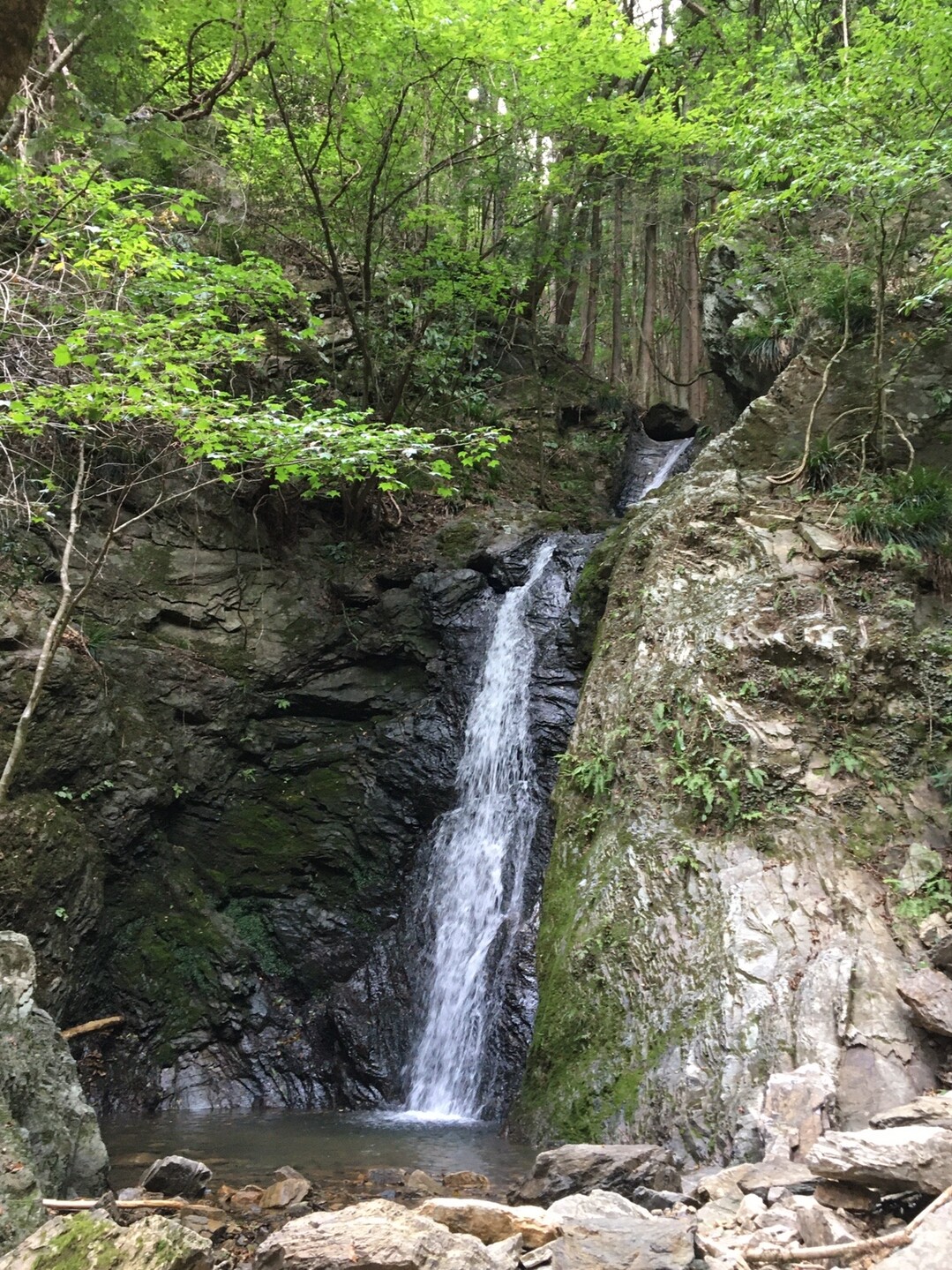 不動三滝(大滝)