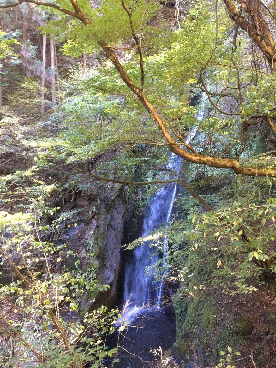 大岳沢大滝