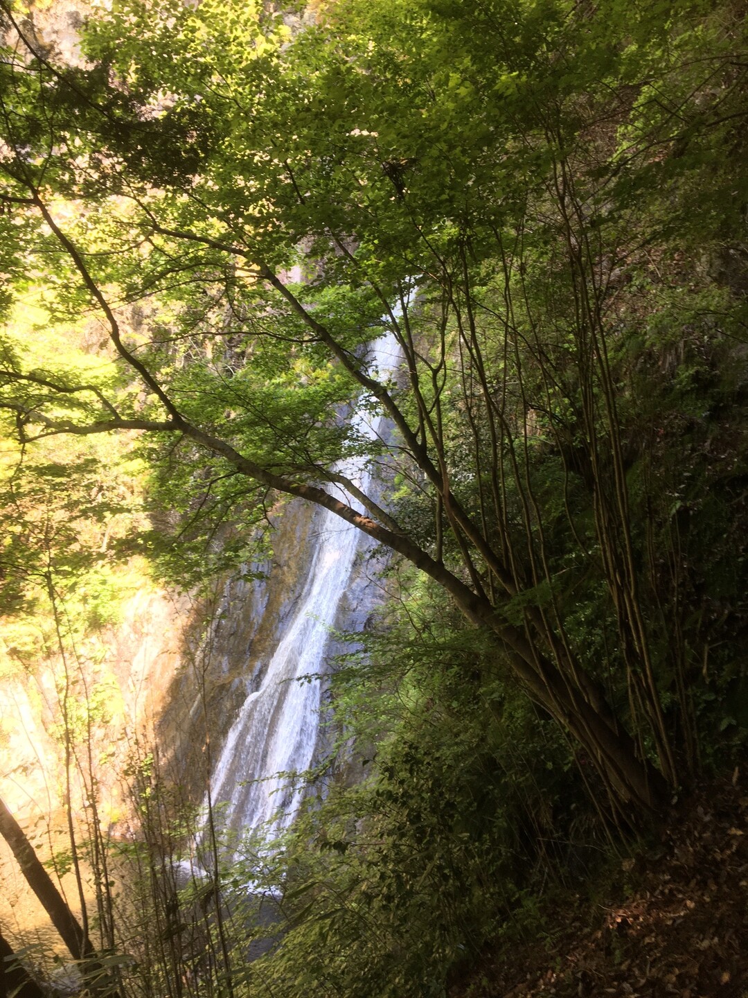 天狗ノ滝