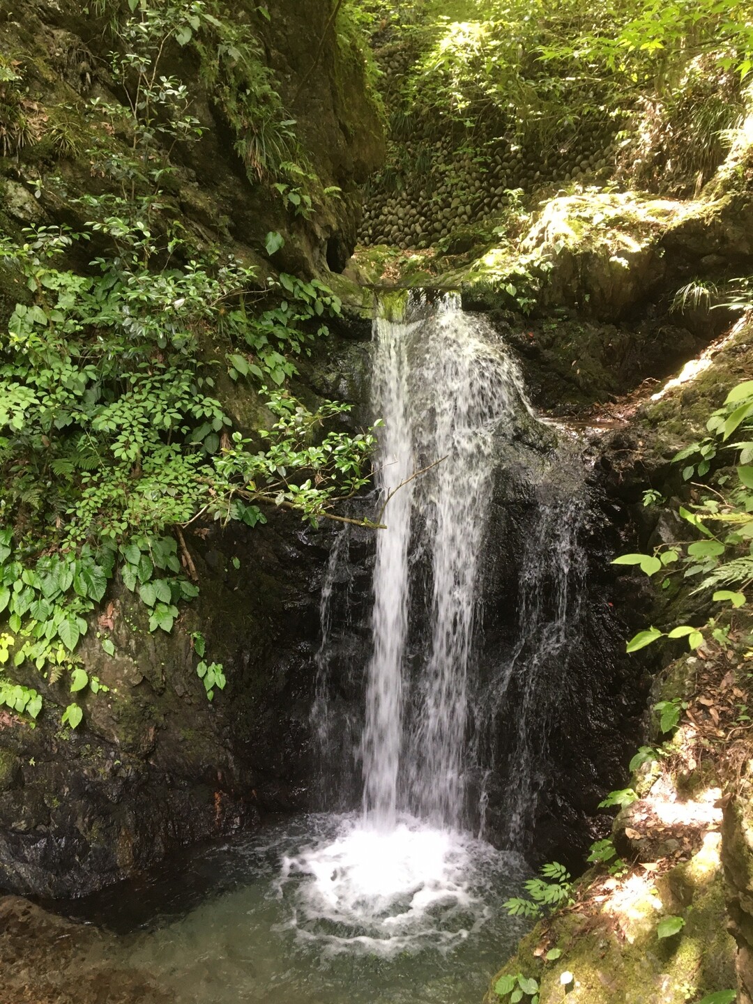 刈寄の滝