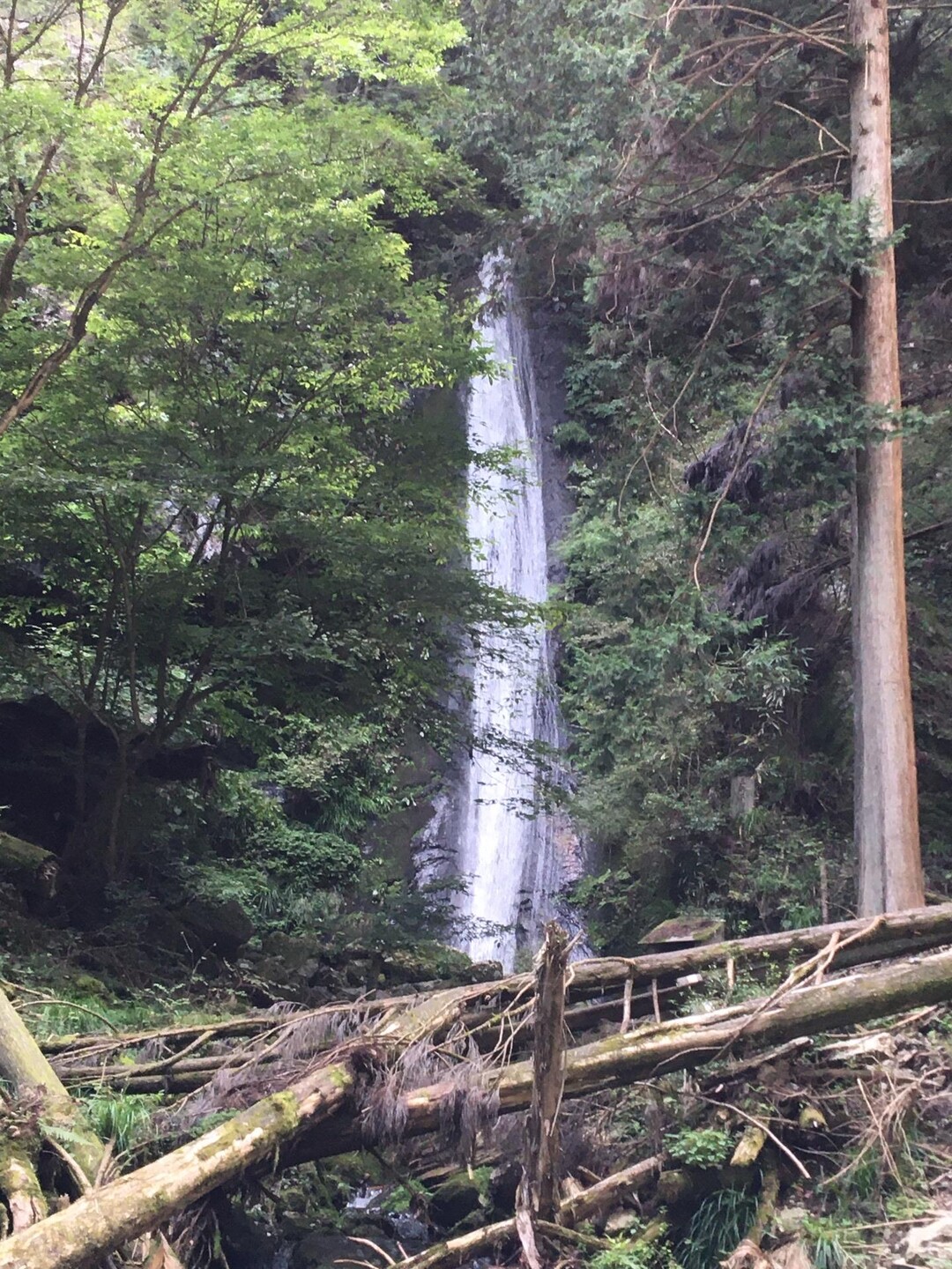 綾滝