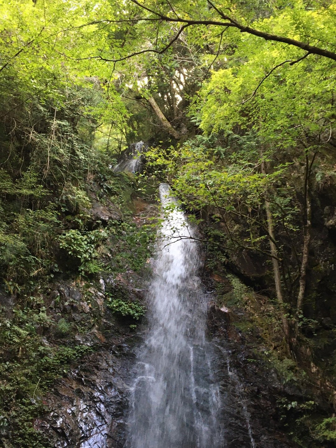 払沢の滝