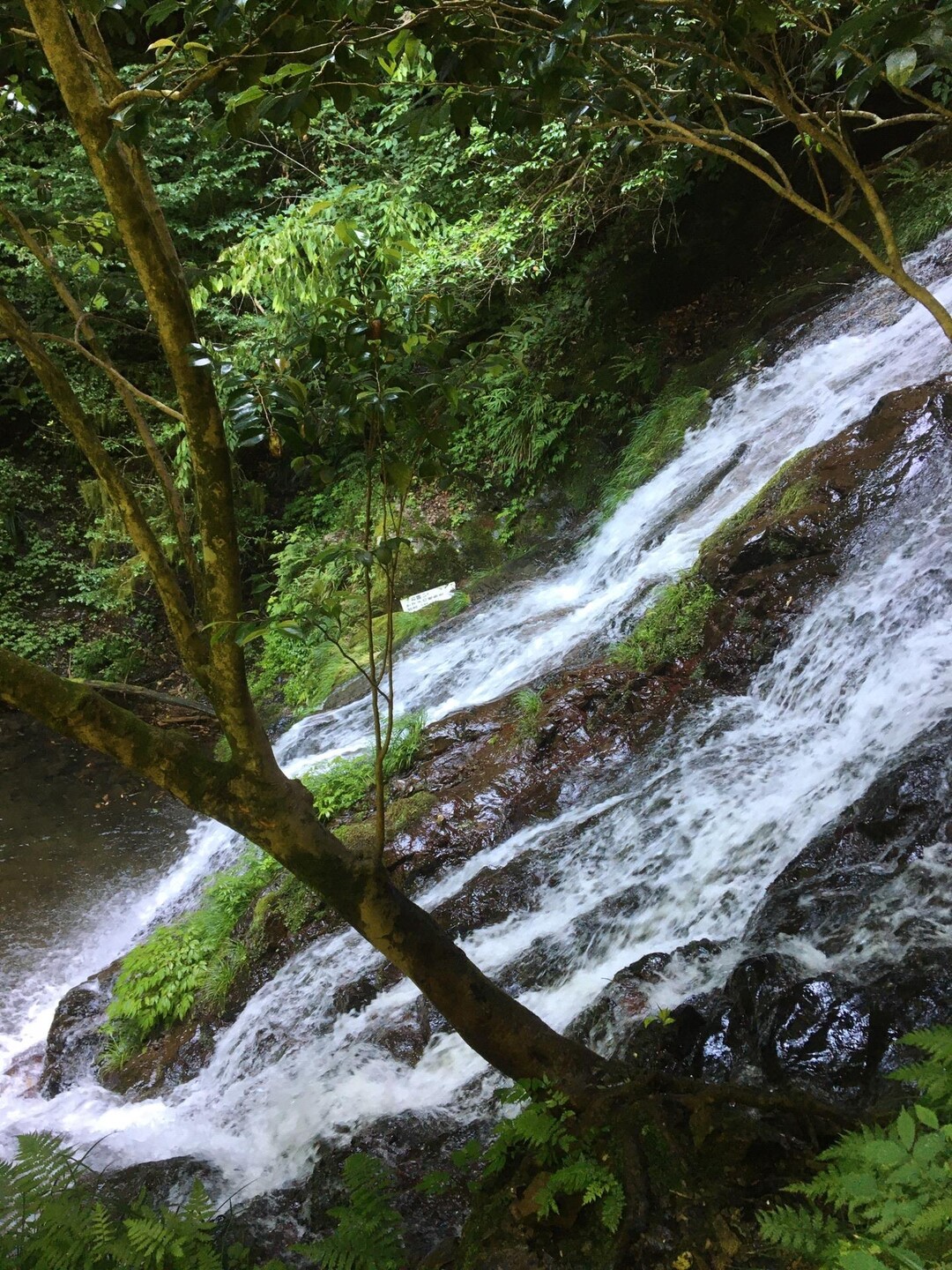 白岩の滝