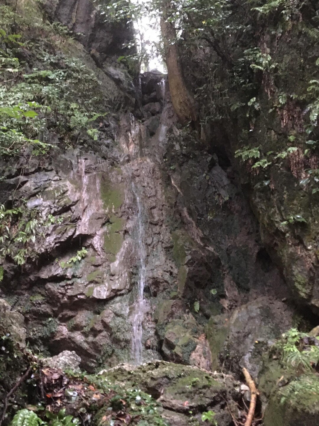 宝生の滝