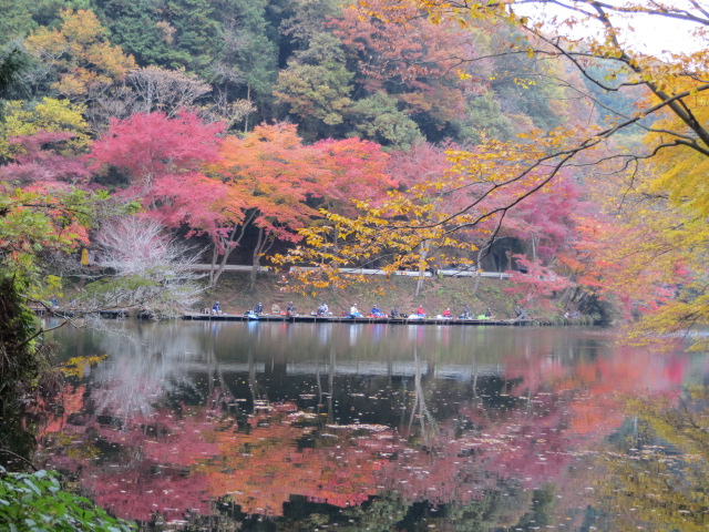 鎌北湖のシンメトリーな紅葉
