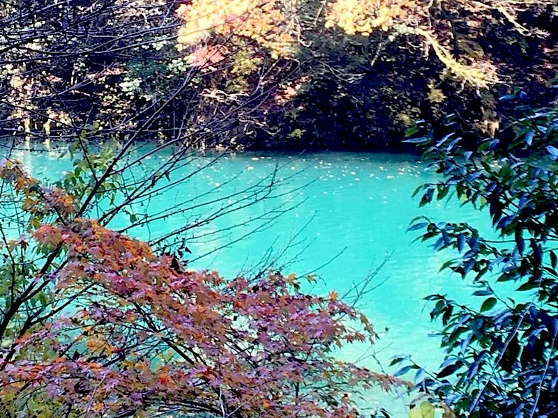 白丸湖のエメラルド色と紅葉