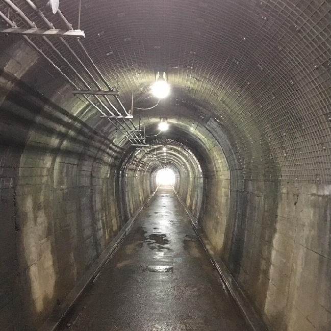 廃線跡のトンネル