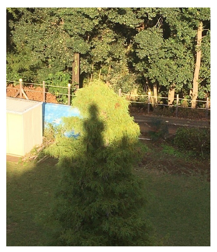 荒幡富士塚
