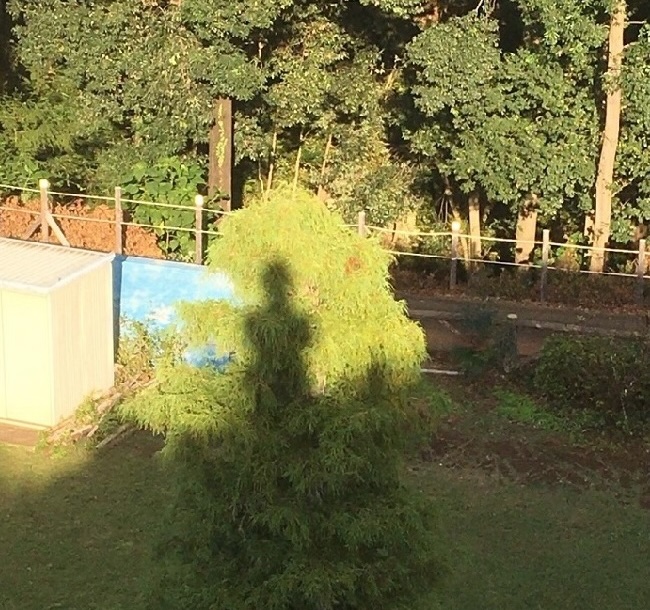 ブロッケン現象みたいな