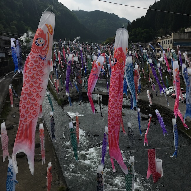 杖立温泉鯉のぼり祭り