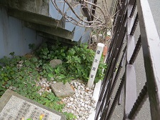 一等三角点座間村
