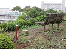 一等三角点長津田村