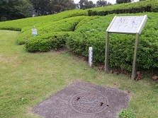 一等三角点根岸