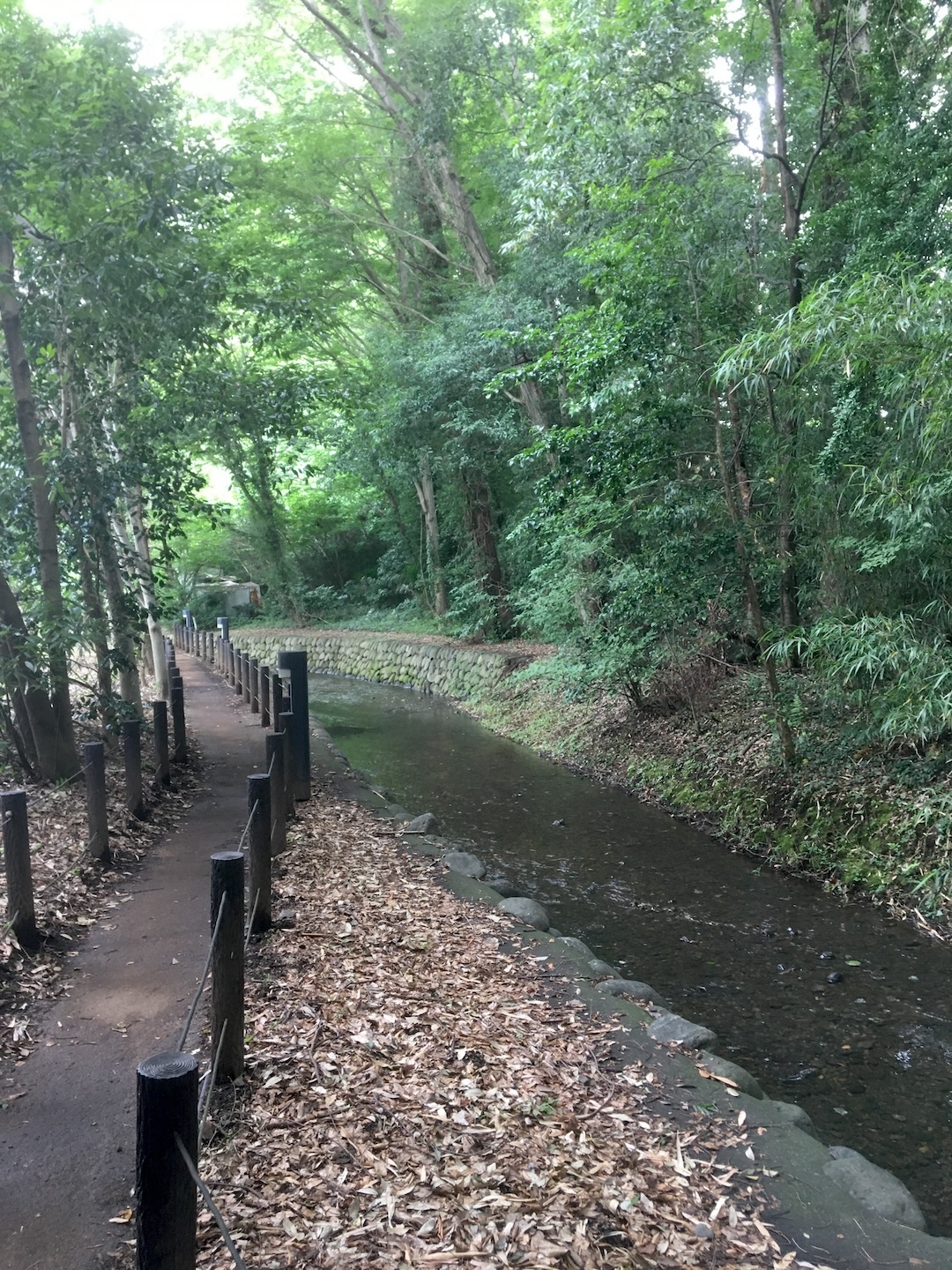 武蔵野台地の水源地