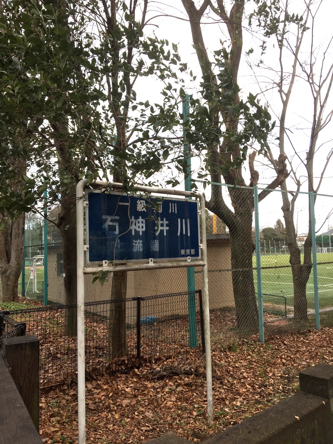 石神井川の上流端